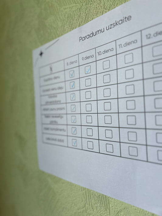 Paradumu Plānotājs