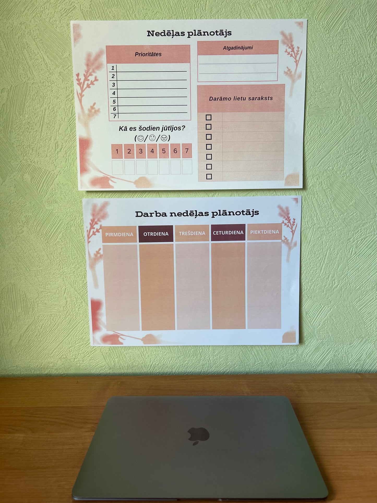 "Back to School" Plānotājs