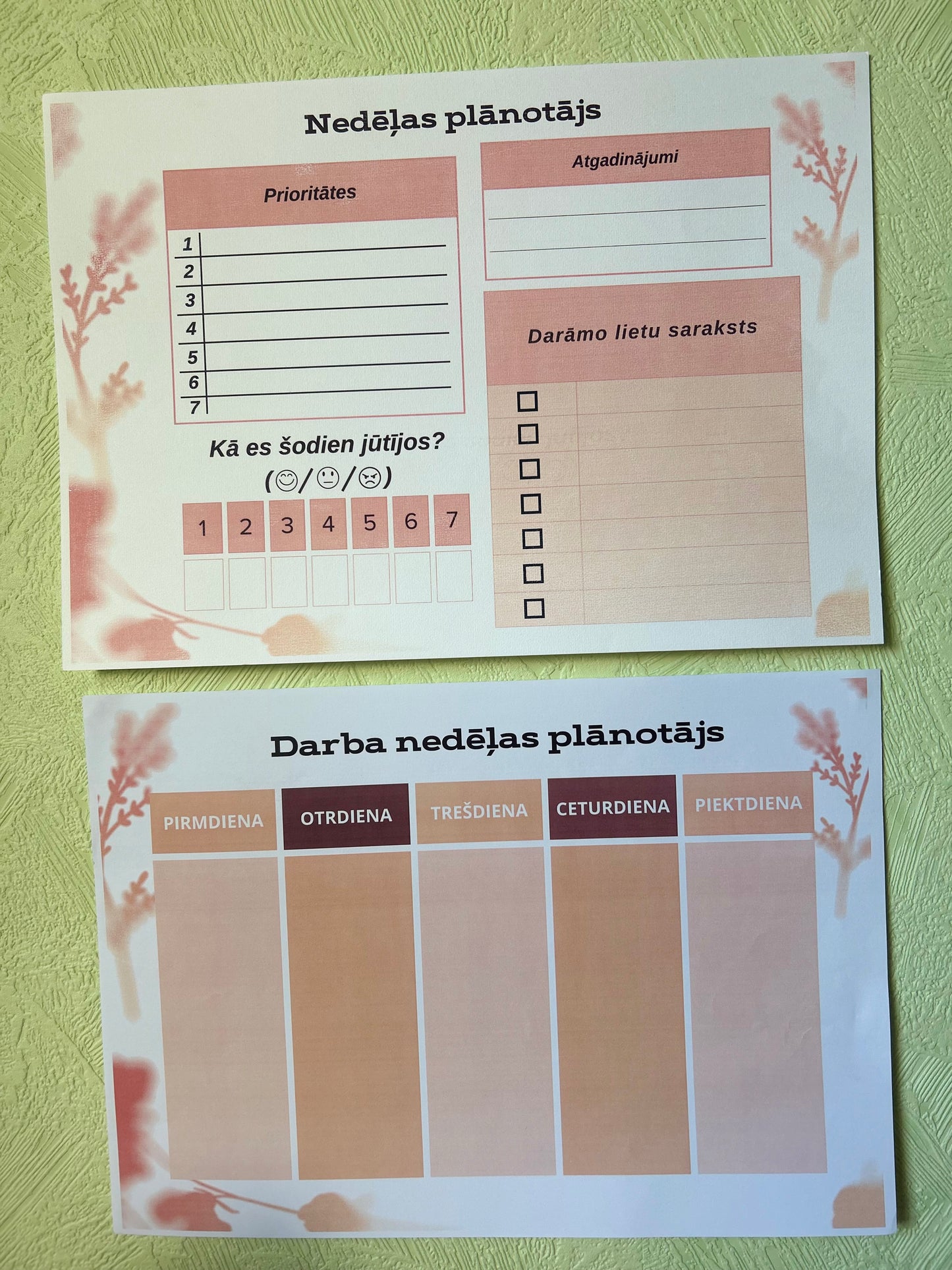 "Back to School" Plānotājs