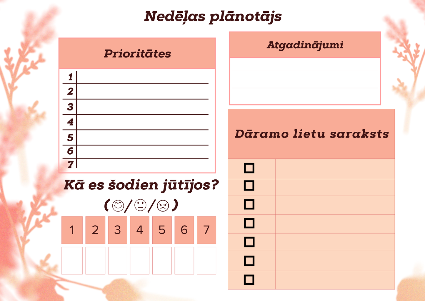 "Back to School" Plānotājs